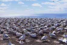 EDIUS8.2新增动态跟踪功能介绍