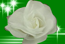 使用EDIUS抠图的教程